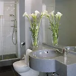 Hotel Ara Comfort
