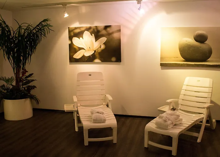 Ara Comfort 4*